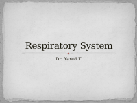 7. resp.pptx